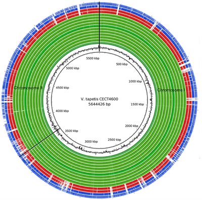 Vibrio tapetis Displays an Original Type IV Secretion System in Strains Pathogenic for Bivalve <mark class="highlighted">Molluscs</mark>